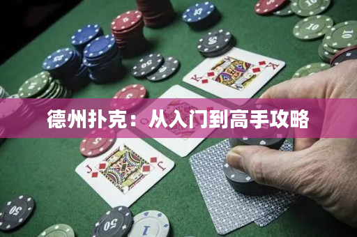 德州撲克：從入門到高手攻略