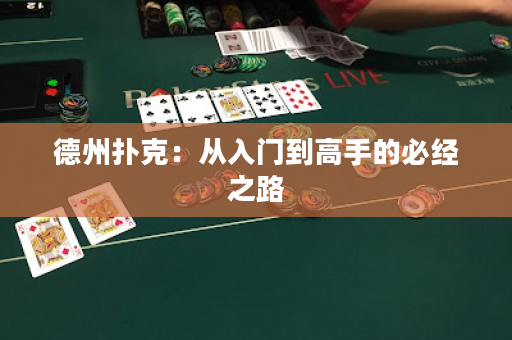 德州撲克：從入門到高手的必經(jīng)之路