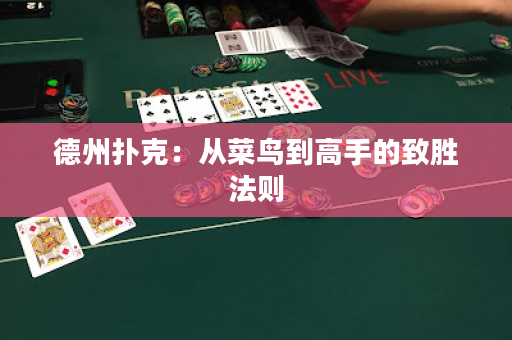 德州撲克：從菜鳥到高手的致勝法則