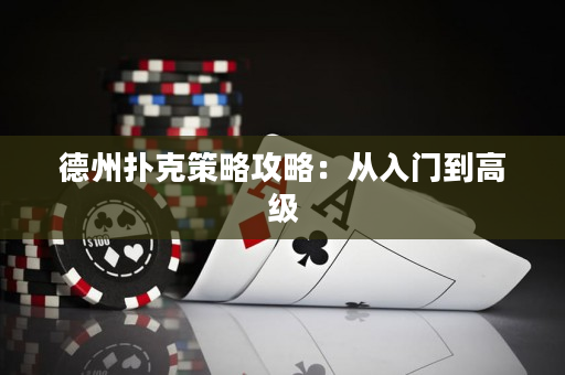 德州撲克策略攻略：從入門到高級