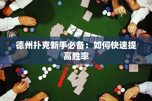 德州撲克新手必備：如何快速提高勝率