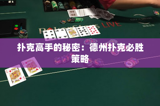 撲克高手的秘密：德州撲克必勝策略