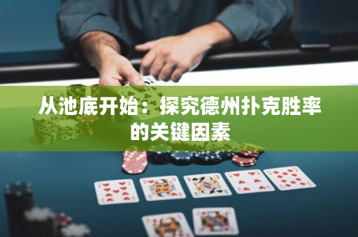 從池底開始：探究德州撲克勝率的關鍵因素