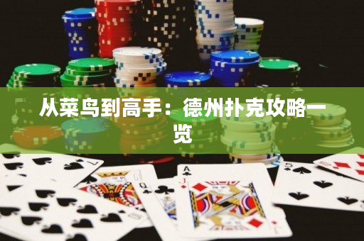 從菜鳥(niǎo)到高手：德州撲克攻略一覽