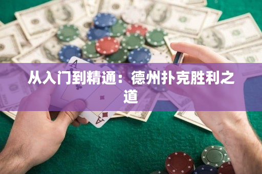 從入門到精通：德州撲克勝利之道