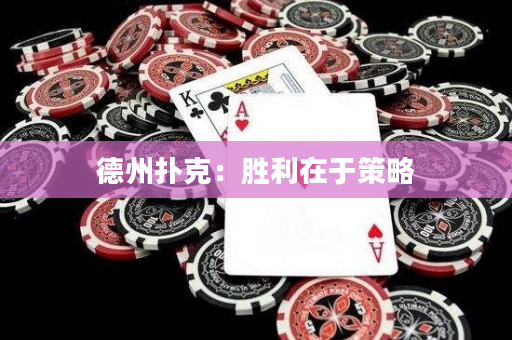 德州撲克：勝利在于策略